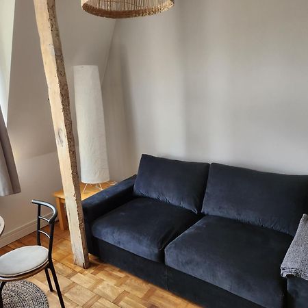 Klimatyczny Apartament Na Bydgoskim Przedmiesciu Torun Ngoại thất bức ảnh